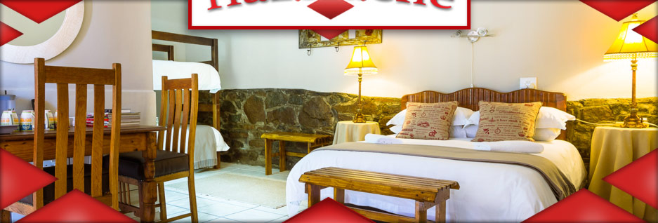 banner-01_06 banner-01_06