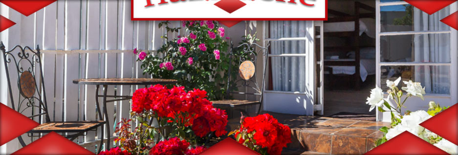 banner-04_06