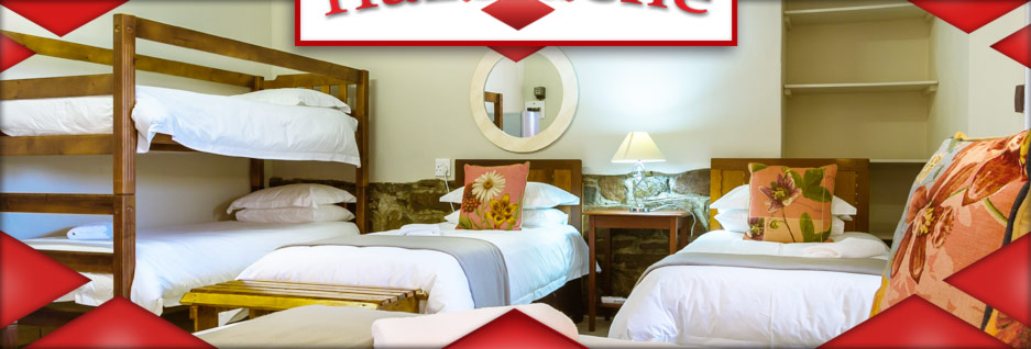 banner-08_06 banner-08_06