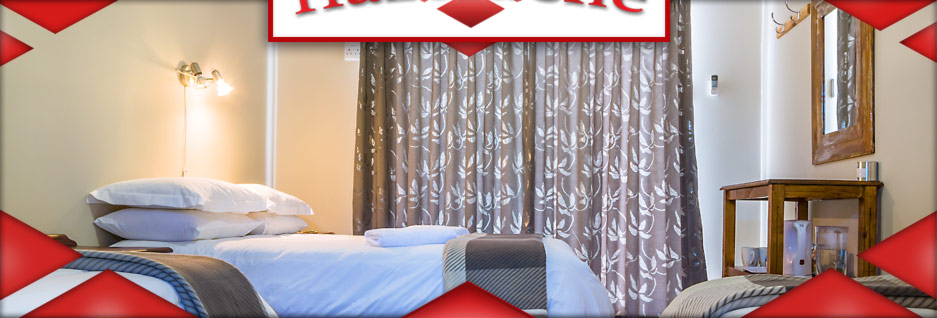 banner-19_06 banner-19_06